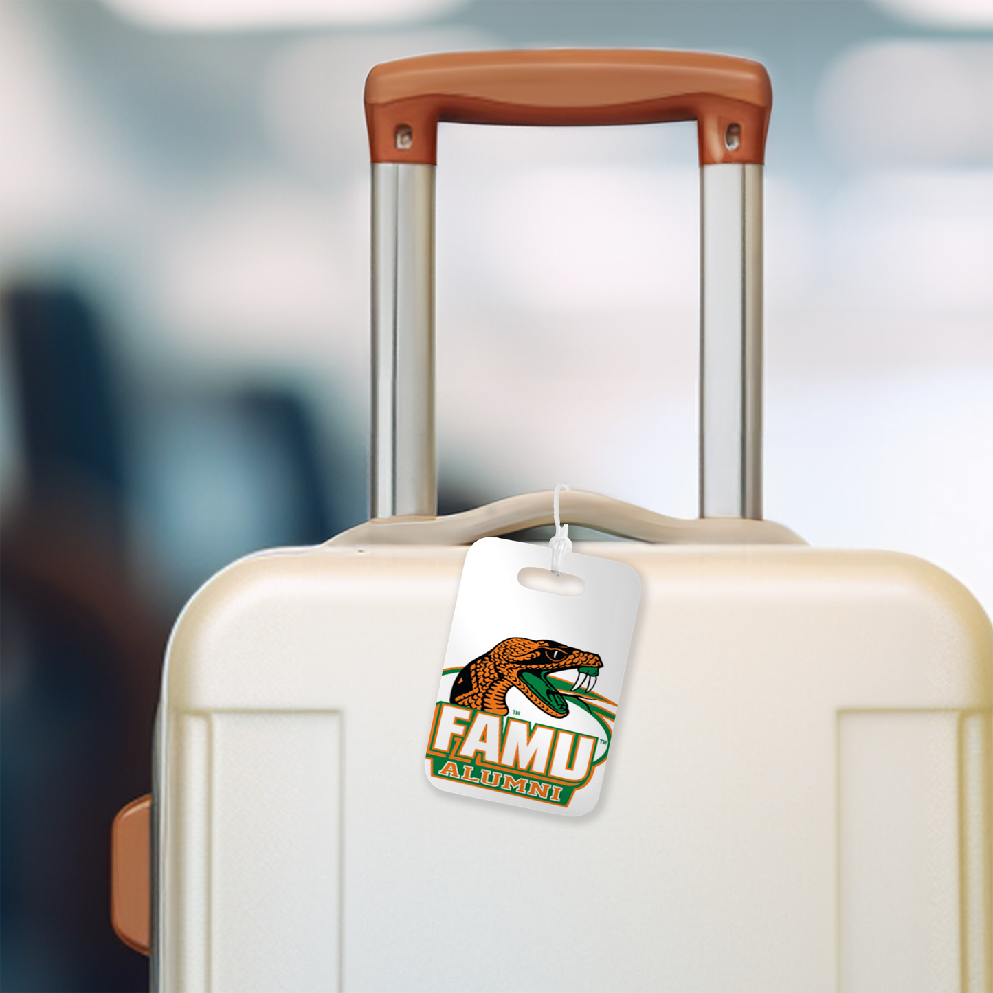 College, University Luggage Bag Tags